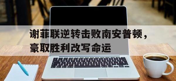 DB体育官网-谢菲联逆转击败南安普顿，豪取胜利改写命运