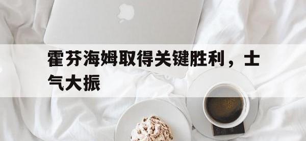 DB体育官网-霍芬海姆取得关键胜利，士气大振